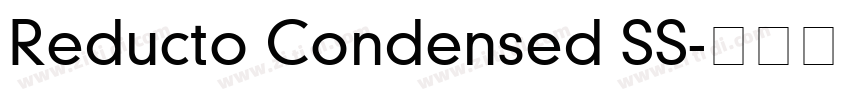 Reducto Condensed SS字体转换
